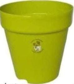 Premium clasica TA N°12